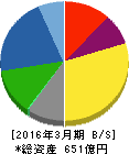 NDS 貸借対照表 2016年3月期 NDS 貸借対照表 2016年3月期
