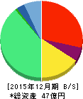 ホットリンク 貸借対照表 2015年12月期 ホットリンク 貸借対照表 2015年12月期