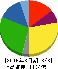 IJTテクノロジーホールディングス 貸借対照表 2016年3月期 IJTテクノロジーホールディングス 貸借対照表 2016年3月期