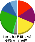 アマガサ 貸借対照表 2016年1月期 アマガサ 貸借対照表 2016年1月期