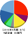 リアルワールド 貸借対照表 2016年9月期 リアルワールド 貸借対照表 2016年9月期