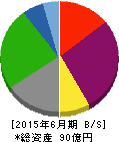チャーム・ケア・コーポレーション 貸借対照表 2015年6月期 チャーム・ケア・コーポレーション 貸借対照表 2015年6月期