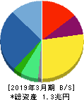 飯田グループホールディングス 貸借対照表 2019年3月期