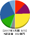 桑山 貸借対照表 2017年3月期 桑山 貸借対照表 2017年3月期