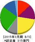 アイエーグループ 貸借対照表 2015年3月期 アイエーグループ 貸借対照表 2015年3月期