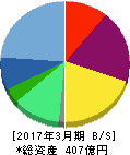 シャクリー・グローバル・グループ 貸借対照表 2017年3月期 シャクリー・グローバル・グループ 貸借対照表 2017年3月期