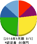 ニックス 貸借対照表 2014年9月期 ニックス 貸借対照表 2014年9月期