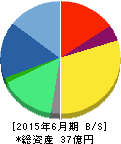 テックファームホールディングス 貸借対照表 2015年6月期 テックファームホールディングス 貸借対照表 2015年6月期
