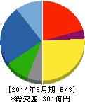 サンエー化研 貸借対照表 2014年3月期 サンエー化研 貸借対照表 2014年3月期