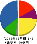 ミズホメディー 貸借対照表 2016年12月期 ミズホメディー 貸借対照表 2016年12月期