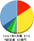 日本情報クリエイト 貸借対照表 2021年6月期