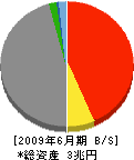 日本興亜損害保険 貸借対照表 2009年6月期