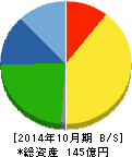 ソフトウェア・サービス 貸借対照表 2014年10月期 ソフトウェア・サービス 貸借対照表 2014年10月期