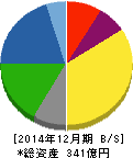 ソルコム 貸借対照表 2014年12月期 ソルコム 貸借対照表 2014年12月期