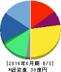 テックファームホールディングス 貸借対照表 2016年6月期 テックファームホールディングス 貸借対照表 2016年6月期