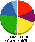 ベルグアース 貸借対照表 2016年10月期 ベルグアース 貸借対照表 2016年10月期
