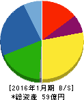 トリケミカル研究所 貸借対照表 2016年1月期 トリケミカル研究所 貸借対照表 2016年1月期