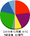 アミタホールディングス 貸借対照表 2016年12月期 アミタホールディングス 貸借対照表 2016年12月期