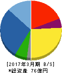 特殊電極 貸借対照表 2017年3月期 特殊電極 貸借対照表 2017年3月期