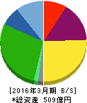 タケエイ 貸借対照表 2016年3月期 タケエイ 貸借対照表 2016年3月期