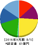 タイセイ 貸借対照表 2016年9月期 タイセイ 貸借対照表 2016年9月期
