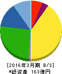 大幸薬品 貸借対照表 2016年3月期 大幸薬品 貸借対照表 2016年3月期
