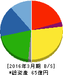 東葛ホールディングス 貸借対照表 2016年3月期 東葛ホールディングス 貸借対照表 2016年3月期