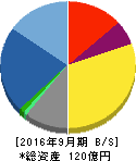 ネクシィーズグループ 貸借対照表 2016年9月期 ネクシィーズグループ 貸借対照表 2016年9月期