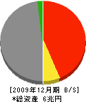 損害保険ジャパン 貸借対照表 2009年12月期