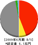 損害保険ジャパン 貸借対照表 2009年6月期