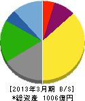 日本デジタル研究所 貸借対照表 2013年3月期