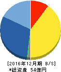 デジタルアドベンチャー 貸借対照表 2016年12月期 デジタルアドベンチャー 貸借対照表 2016年12月期