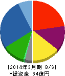 オリエンタルチエン工業 貸借対照表 2014年3月期 オリエンタルチエン工業 貸借対照表 2014年3月期