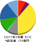 わかもと製薬 貸借対照表 2017年3月期 わかもと製薬 貸借対照表 2017年3月期