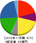 川崎地質 貸借対照表 2016年11月期 川崎地質 貸借対照表 2016年11月期