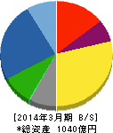 横河ブリッジホールディングス 貸借対照表 2014年3月期 横河ブリッジホールディングス 貸借対照表 2014年3月期