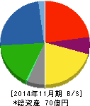 川崎地質 貸借対照表 2014年11月期 川崎地質 貸借対照表 2014年11月期