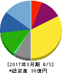 ワットマン 貸借対照表 2017年3月期 ワットマン 貸借対照表 2017年3月期