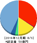 ビリングシステム 貸借対照表 2016年12月期 ビリングシステム 貸借対照表 2016年12月期
