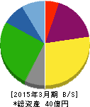 テクノ・セブン 貸借対照表 2015年3月期 テクノ・セブン 貸借対照表 2015年3月期