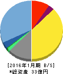 ネオジャパン 貸借対照表 2016年1月期 ネオジャパン 貸借対照表 2016年1月期