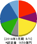 大日精化工業 貸借対照表 2014年3月期 大日精化工業 貸借対照表 2014年3月期