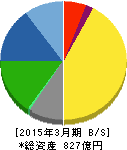 パイオラックス 貸借対照表 2015年3月期 パイオラックス 貸借対照表 2015年3月期