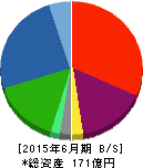 トラストホールディングス 貸借対照表 2015年6月期 トラストホールディングス 貸借対照表 2015年6月期