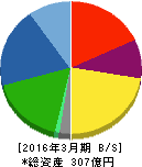 ビケンテクノ 貸借対照表 2016年3月期 ビケンテクノ 貸借対照表 2016年3月期