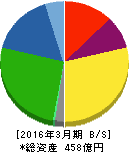 富士紡ホールディングス 貸借対照表 2016年3月期 富士紡ホールディングス 貸借対照表 2016年3月期