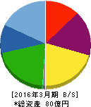 シーティーエス 貸借対照表 2016年3月期 シーティーエス 貸借対照表 2016年3月期