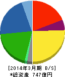 フェローテックホールディングス 貸借対照表 2014年3月期 フェローテックホールディングス 貸借対照表 2014年3月期