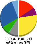 理研グリーン 貸借対照表 2015年3月期 理研グリーン 貸借対照表 2015年3月期