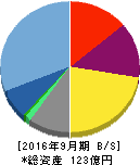 ジャパンベストレスキューシステム 貸借対照表 2016年9月期 ジャパンベストレスキューシステム 貸借対照表 2016年9月期
